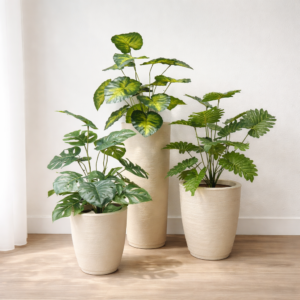 Kit 3 Vasos + Plantas Permanentes